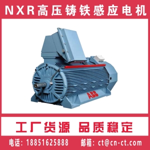 <strong>NXR高压铸铁感应ABB电机</strong>